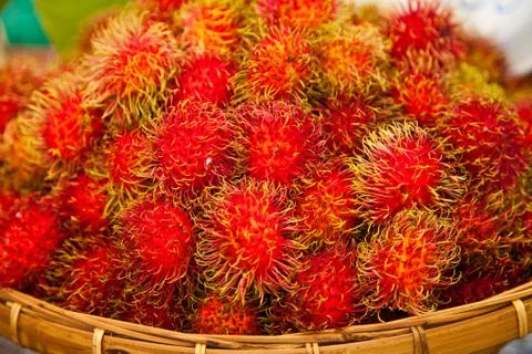 Rambutan 库存照片