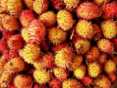 Rambutan Foto stock