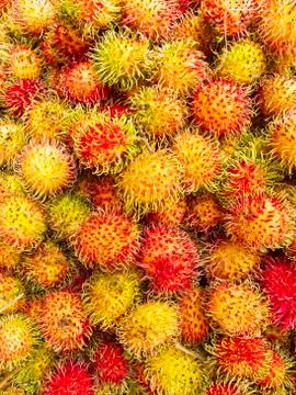 Rambutan Stock Photos