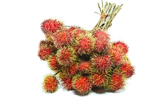 Rambutan Stock Photos