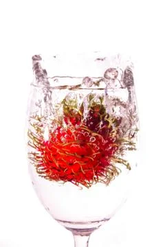 Rambutan Stock Photos