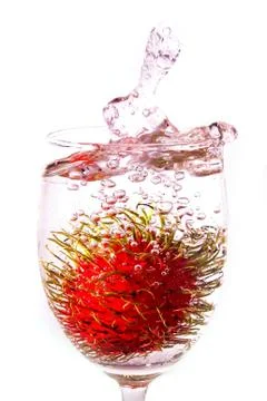 Rambutan Stock Photos