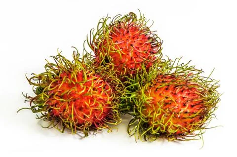 Rambutan Stock Photos