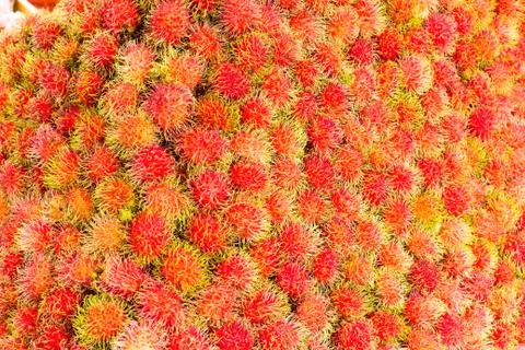 Rambutan Stock Photos