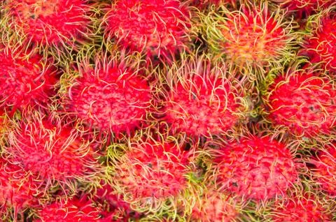 Rambutan Stock Photos