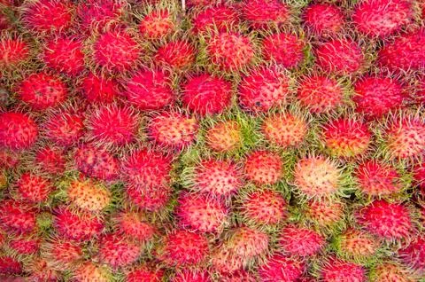 Rambutan Stock Photos