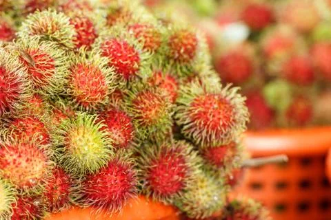 Rambutan Stock Photos