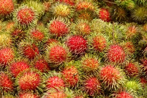 Rambutan Stock Photos