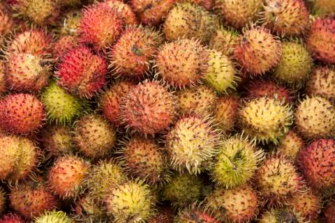Rambutan Stock Photos