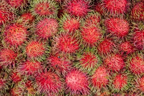 Rambutan Stock Photos