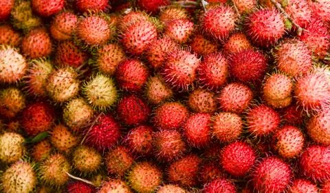 Rambutan Foto stock