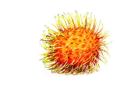 Rambutan. Stock Photos