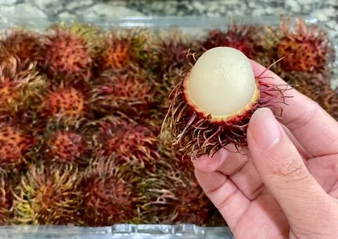 Rambutan Stock Photos