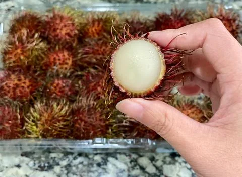 Rambutan Foto stock