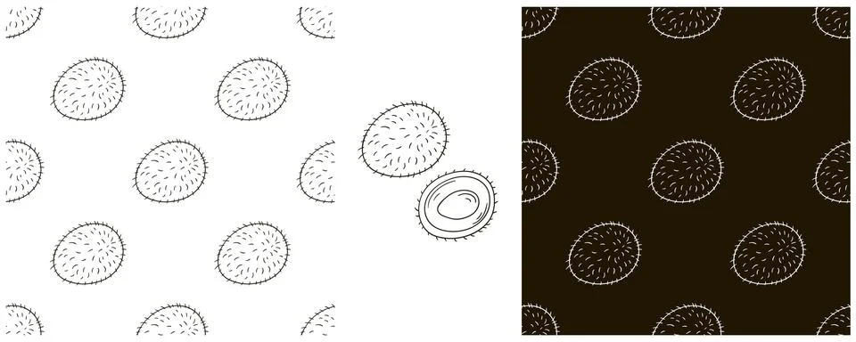 Rambutan. Seamless pattern for kitchen, restaurant or shop. Monochrome Set in Stock Illustration