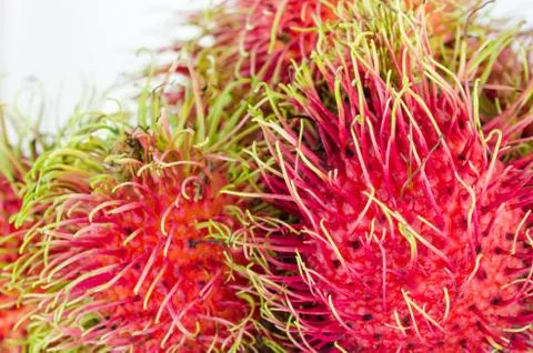 Rambutan on white background Stock Photos