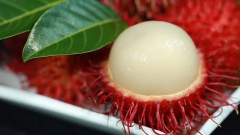 Rambutans 2 스톡 동영상 123096893