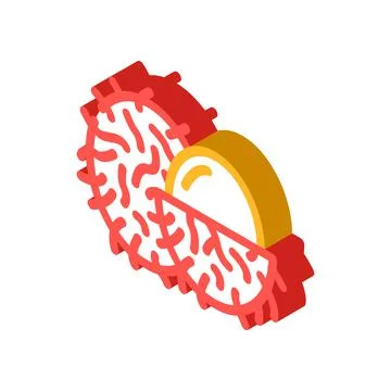 Rambutans fruit isometric icon vector illustration Stock Illustration