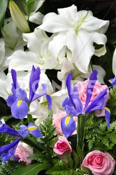 Ramos de flores Stock Photos
