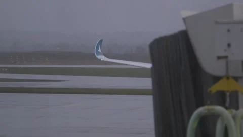 Ramp Working Directing Cathay Pacific Airplane into Gate. Rainy Day Stock Footage 219707126