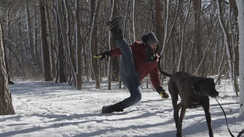 Ramped slow motion dog pulls owner off his feet Stock-Footage 125720347