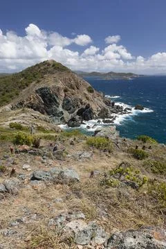 Ram's Head View Stock Photos