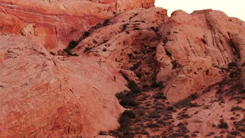 Rams in Valley of Fire 1 Stock Footage 257843972