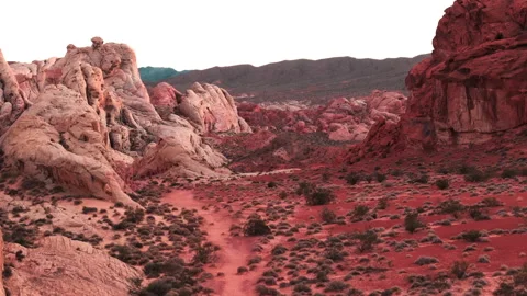 Rams in Valley of Fire 2 Stock Footage 257843928