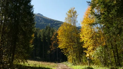 Ramsau, Bavaria Video stock 289973559