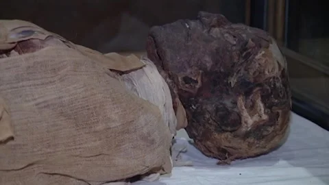 Ramses III Stock Footage 252835529