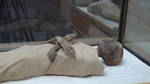 Ramses IV Stock Footage 252835281