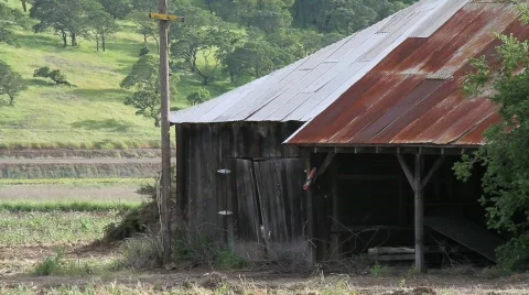 Ramshackle Barn Stock Footage 689046