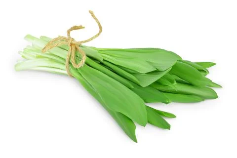 Ramson bunch vegetable isolated on white background with clipping path and full Stock Photos