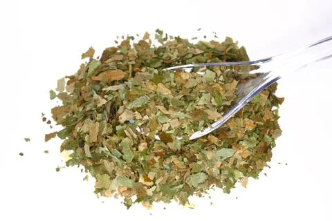 Ramsons Stock Photos