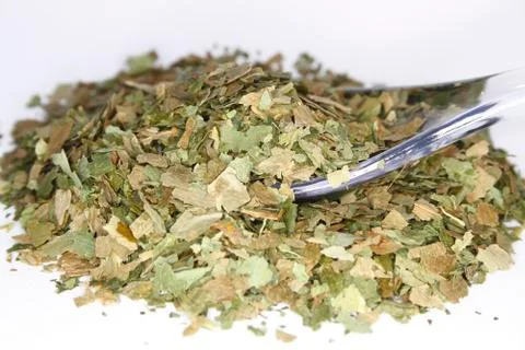 Ramsons Stock Photos