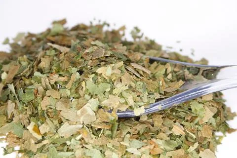 Ramsons Stock Photos