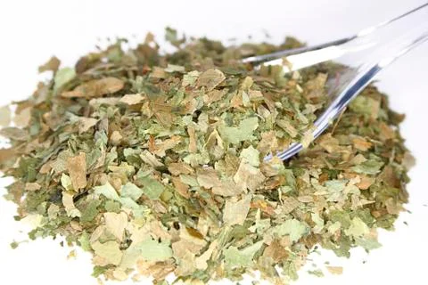 Ramsons Stock Photos