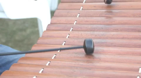Ranat, Thai xylophone performing Stock Footage 60688277