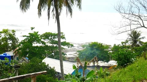 RANCABUAYA BEACH Stock Footage 228835299