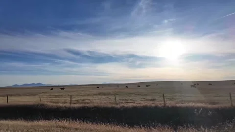 Ranch in Canada Stockbeeldmateriaal 337839381