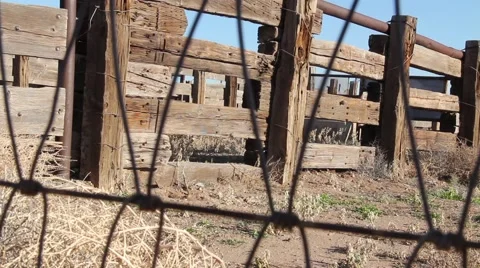 A Ranch Corral Stock Footage 55518520