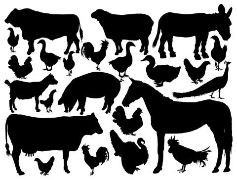 Ranch farm animals collection vector silhouette 库存插图