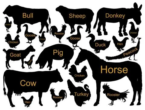 Ranch farm animals collection vector silhouette イラスト素材