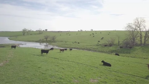 Ranch Stock Footage 77706735