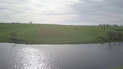 Ranch Stock Footage 77706861