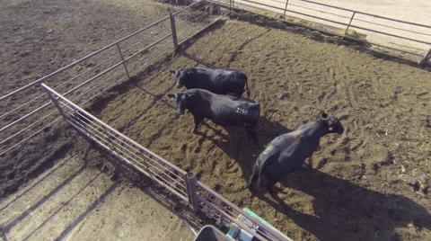 Ranch Footage Ariel Stock Footage 57213696