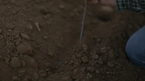 Ranch Foreman Measuring Seed Placement Stock Footage 94688606