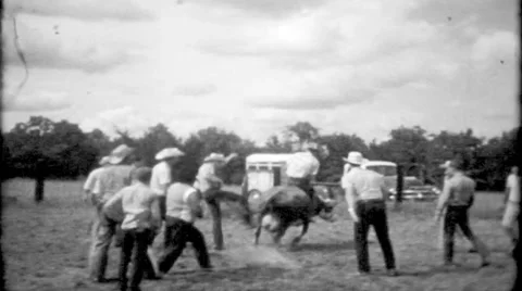 Ranch hands have fun riding a cow at the ranch 1950s vintage film home movie 710 Stock-Footage 33367909