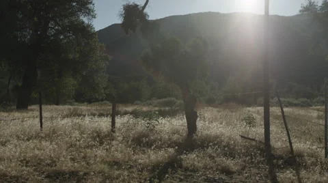 Ranch Land Drive By Stock Footage 59101906