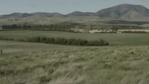 Ranch land drone Stock Footage 158405085